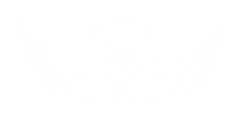tatum_wings